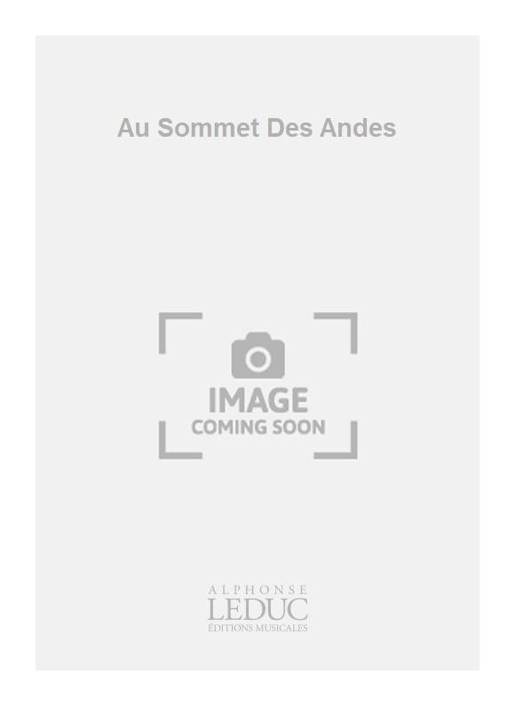 Au Sommet Des Andes