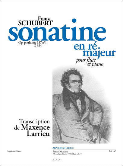Sonatine en ré For Violin And Piano D384