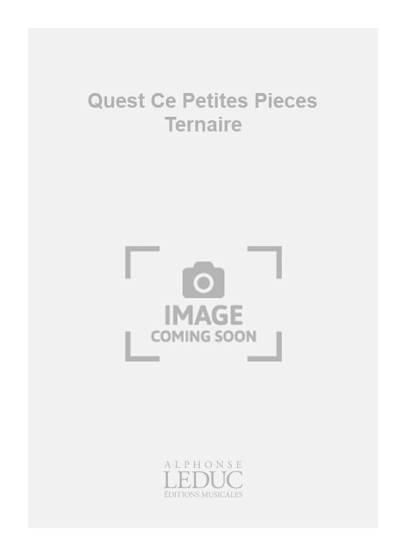 Quest Ce Petites Pieces Ternaire