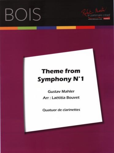 Thème from symphony n°1