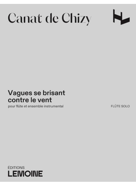 Vagues se brisant contre le vent