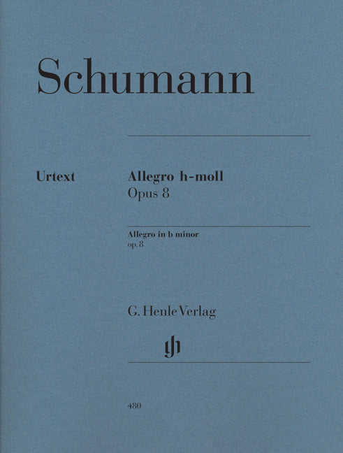 Allegro si mineur op. 8