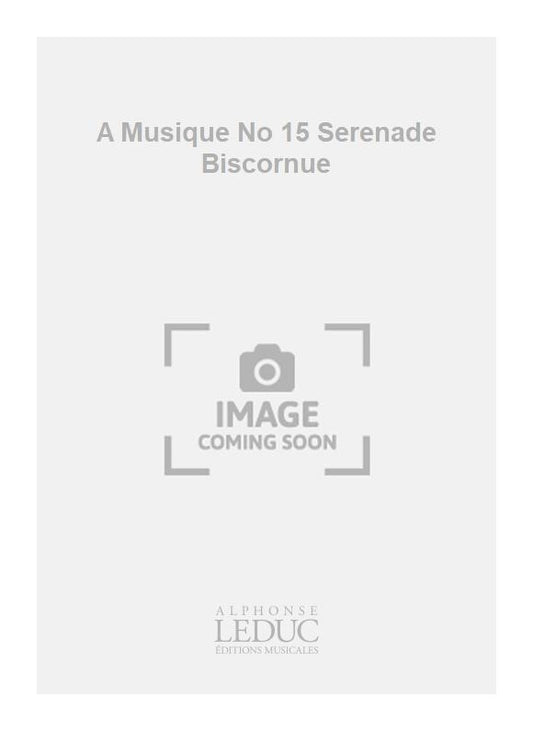 A Musique n° 15 Serenade Biscornue