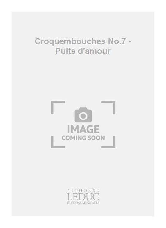 Croquembouches n° 7 - Puits d'amour