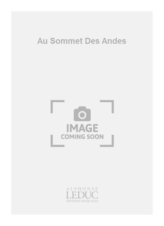 Au Sommet Des Andes
