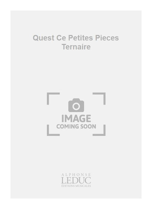 Quest Ce Petites Pieces Ternaire