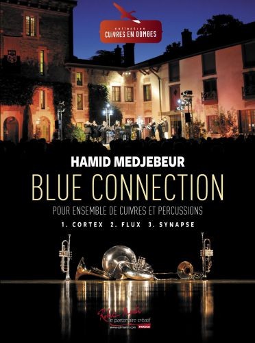 Blue connection