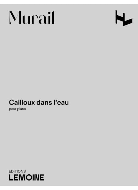 Cailloux dans l'eau