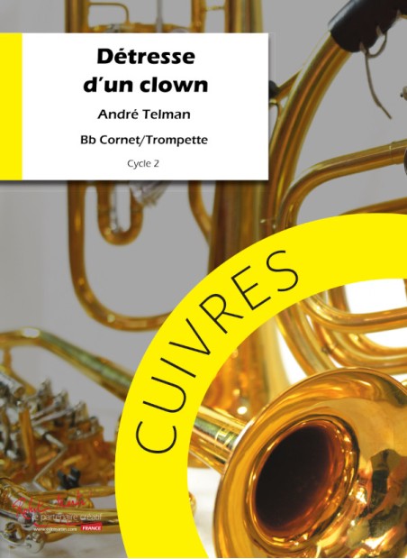 Détresse d'un clown