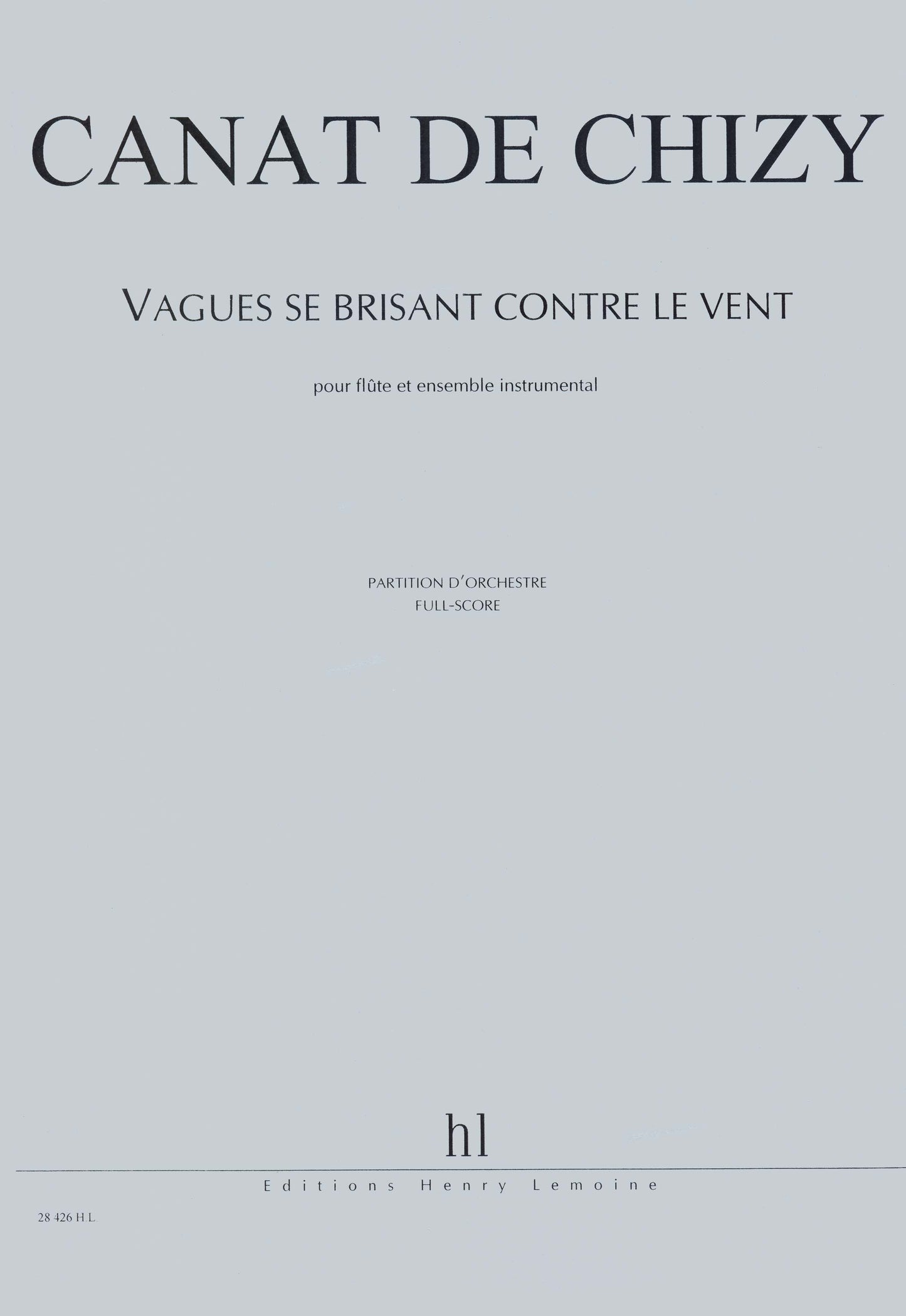 Vagues se brisant contre le vent