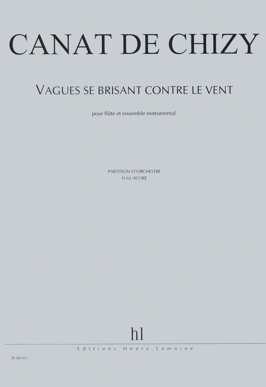Vagues se brisant contre le vent