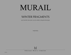Winter Fragments